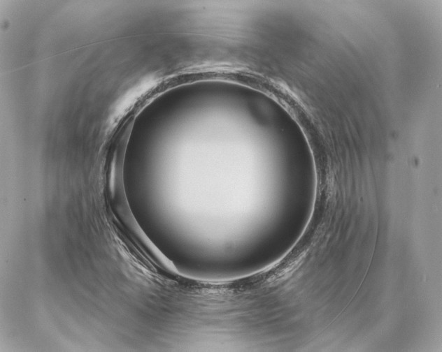 X0000086951406200704161442