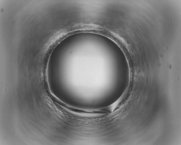 X0000086951407200704161442