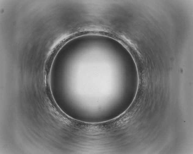 X0000086951408200704161442