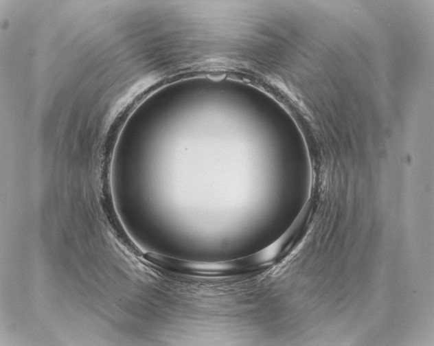 X0000086951410200704161442