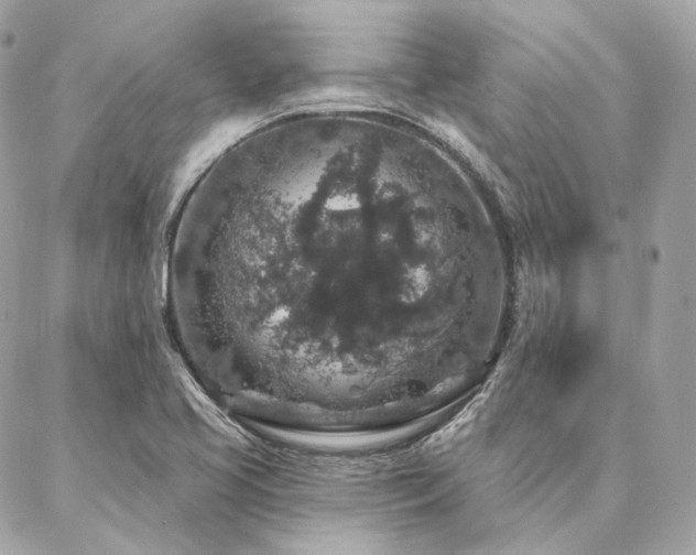 X0000086951413200704161442