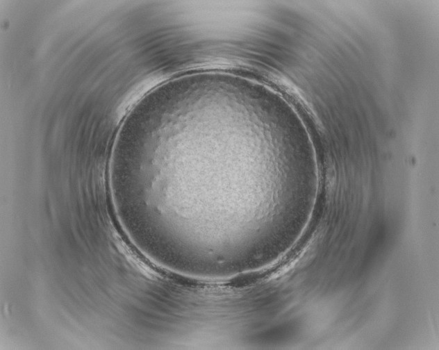 X0000086951417200704161442