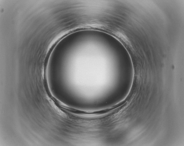 X0000086951420200704161442