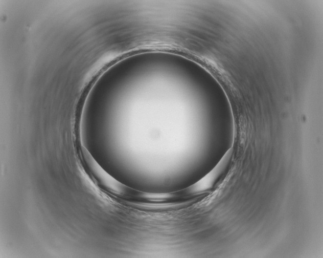 X0000086951422200704161442