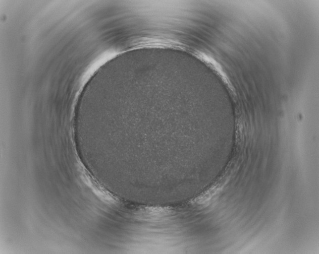 X0000086951427200704161442