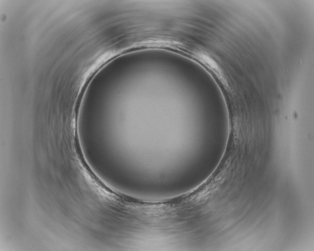 X0000086951428200704161442
