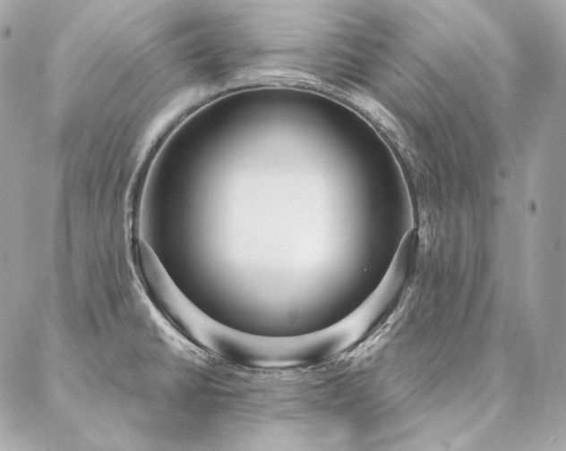 X0000086951430200704161442