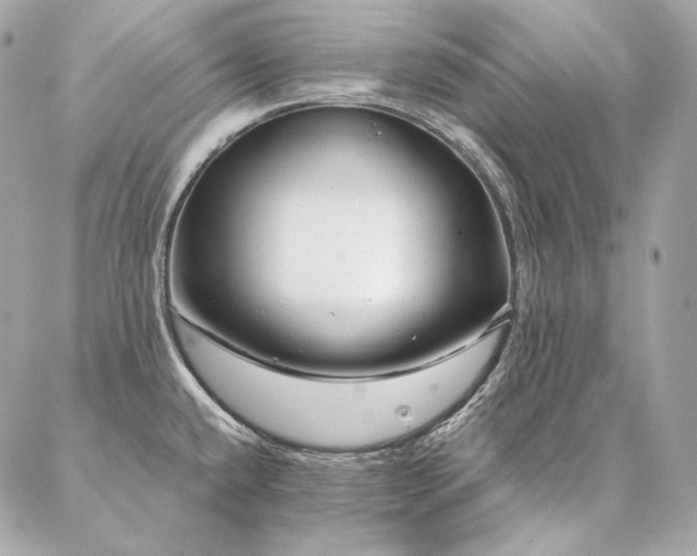 X0000086951432200704161442