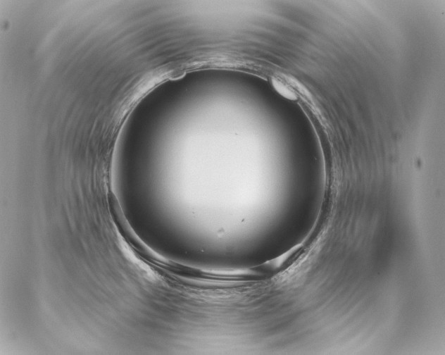 X0000086951433200704161443