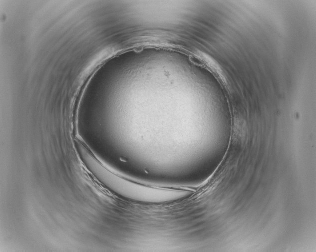 X0000086951435200704161443