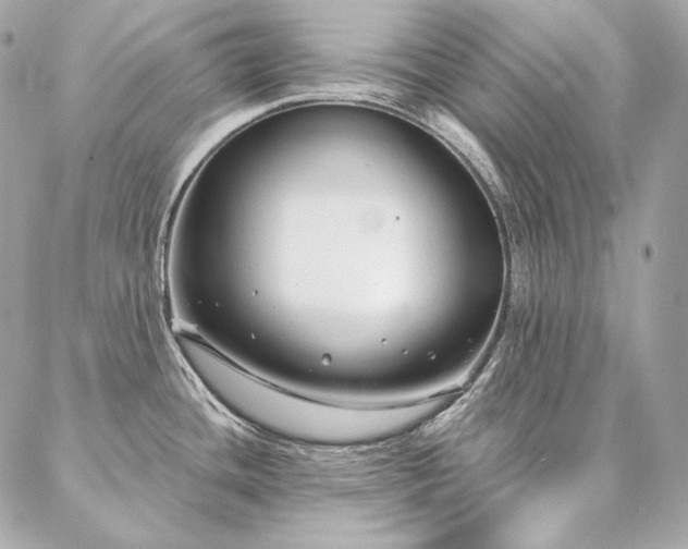 X0000086951436200704161443