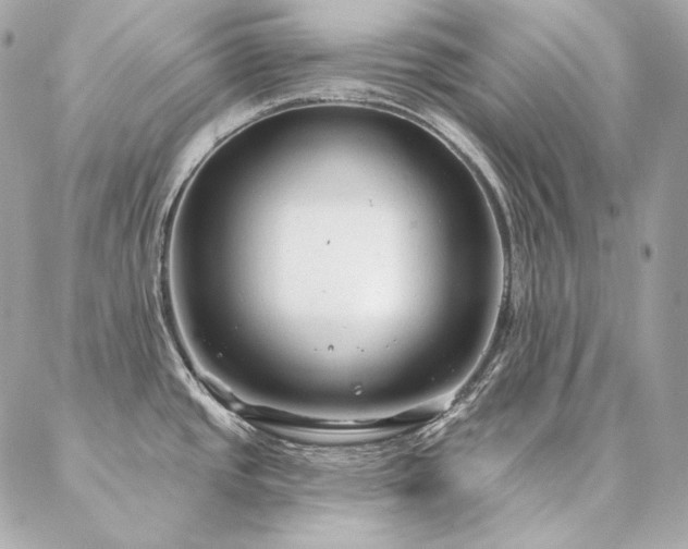 X0000086951437200704161443