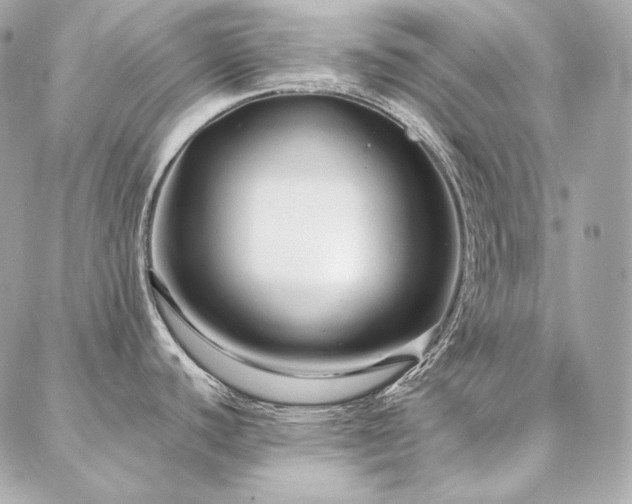 X0000086951440200704161443