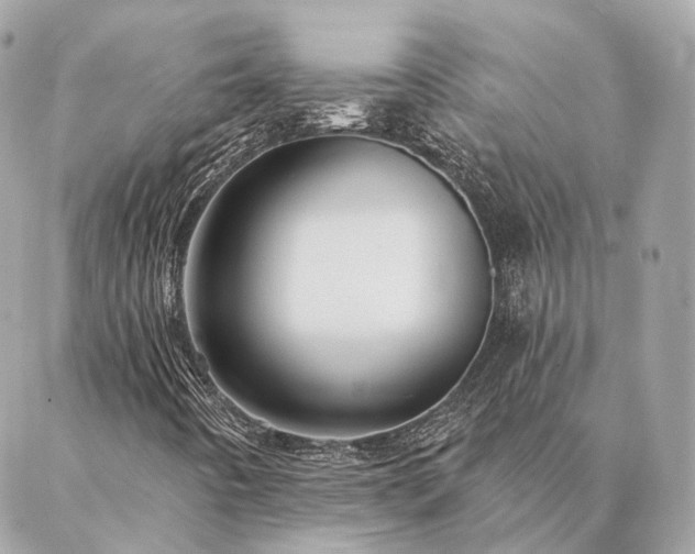 X0000086951442200704161442