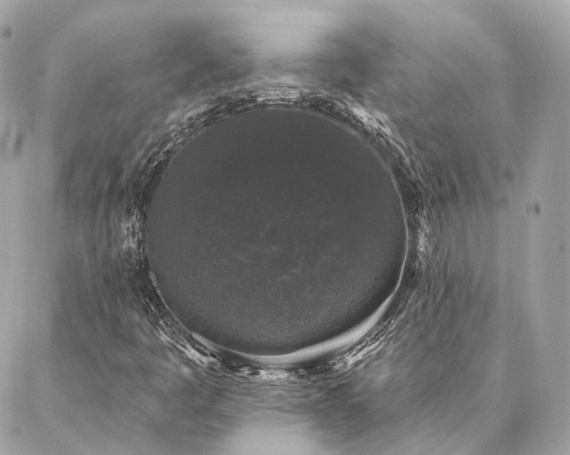 X0000086951445200704161442