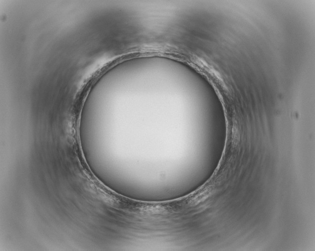 X0000086951454200704161442