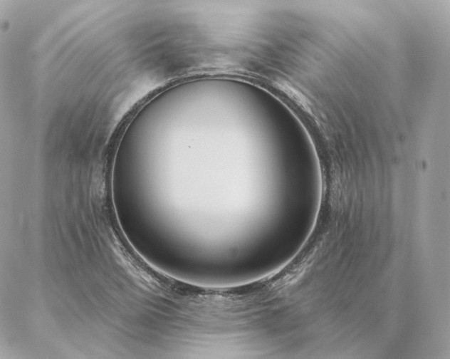 X0000086951458200704161442