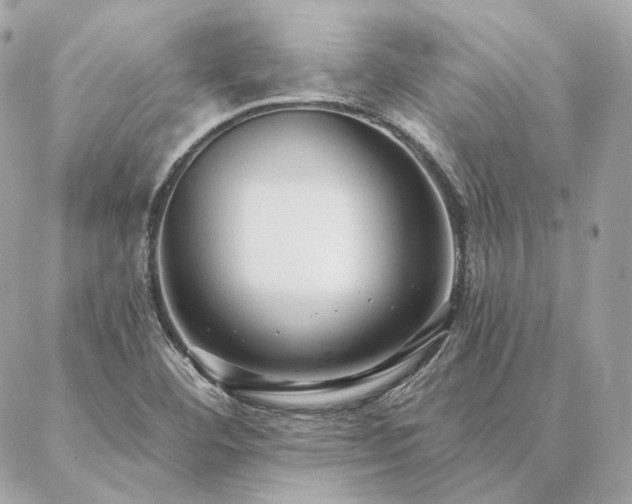 X0000086951460200704161442