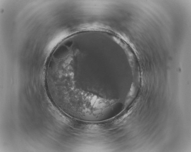 X0000086951463200704161441