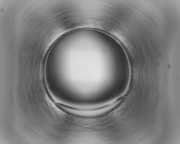 X0000086951468200704161441