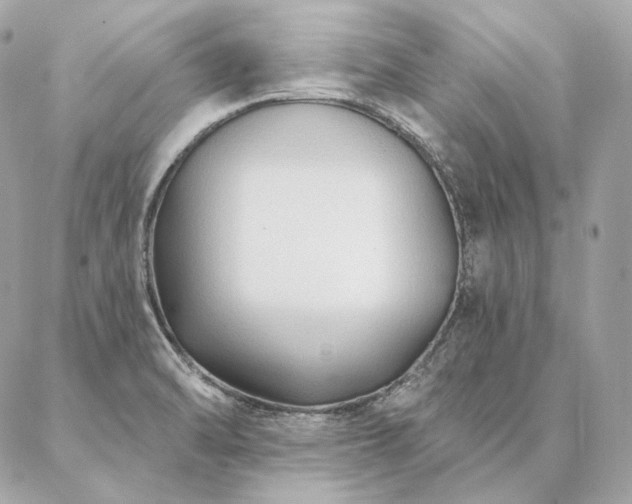 X0000086951470200704161441