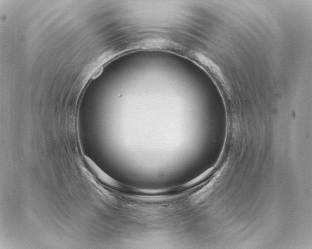 X0000086951473200704161441