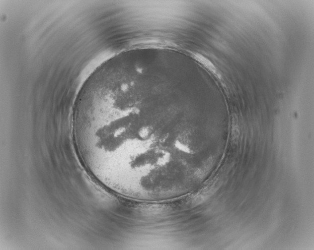 X0000086951474200704161441