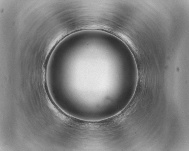 X0000086951476200704161441