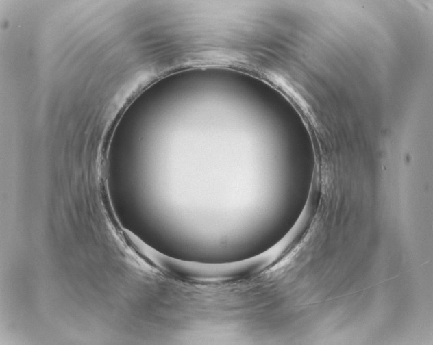 X0000086951477200704161441