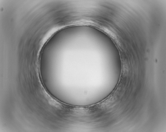 X0000086951478200704161441