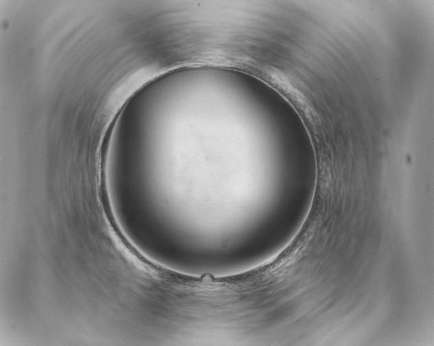X0000086951479200704161441