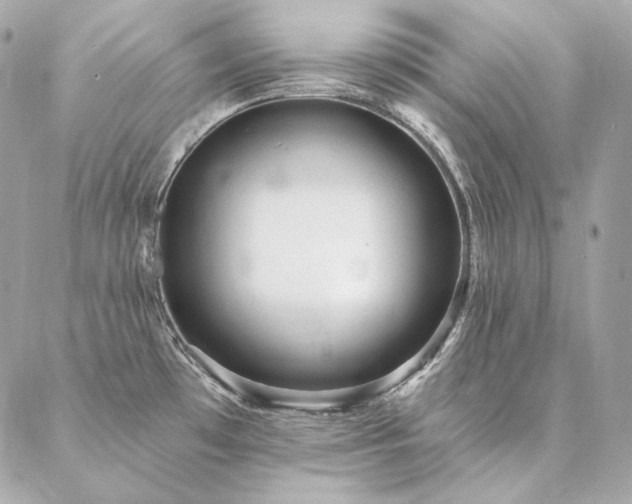 X0000086951481200704161441