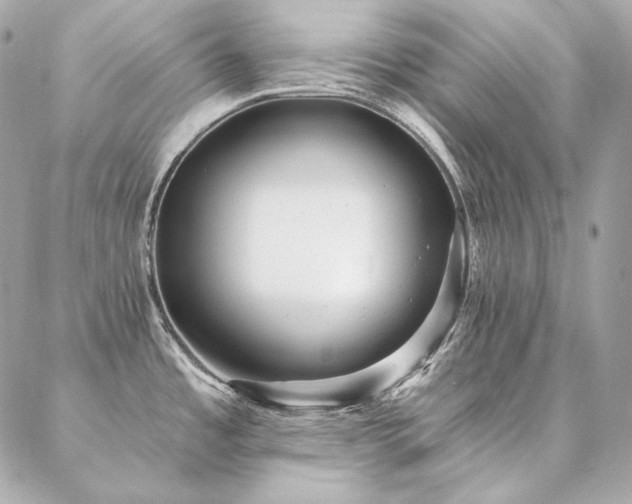 X0000086951485200704161441
