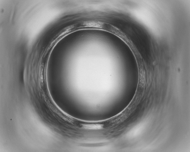 X0000086951487200704161441