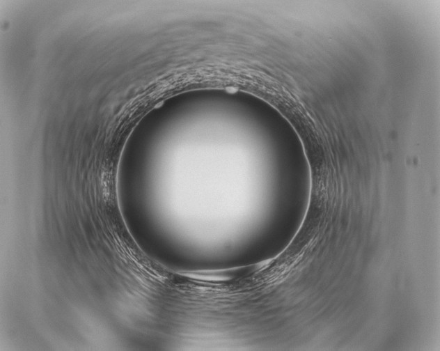 X0000086951490200704161440
