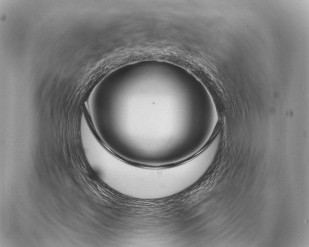 X0000086951492200704161440