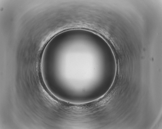 X0000086951500200704161440