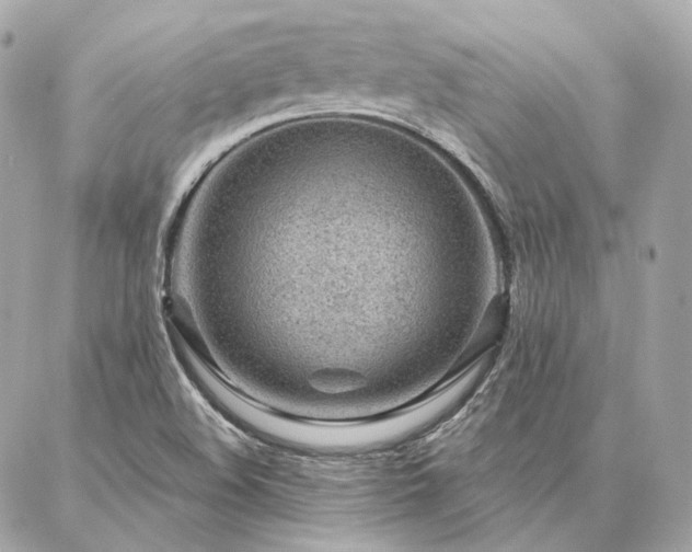 X0000086951508200704161441