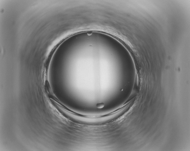 X0000086951510200704161441