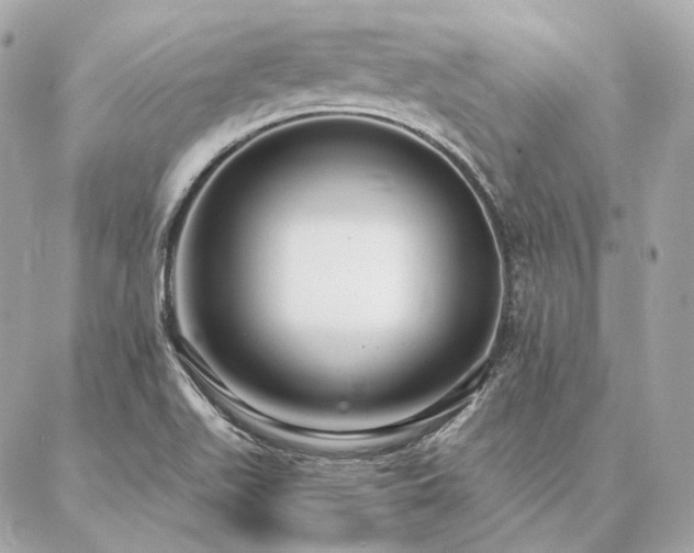 X0000086951511200704161441