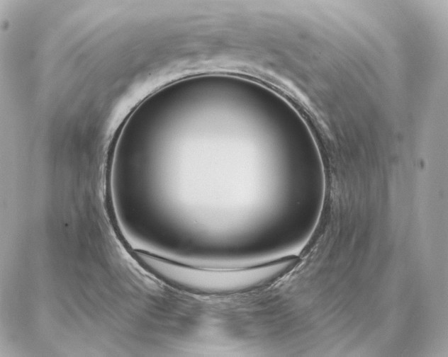 X0000086951512200704161441