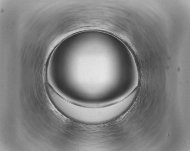 X0000086951516200704161441