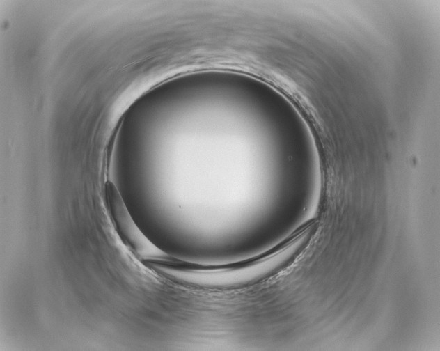 X0000086951520200704161441
