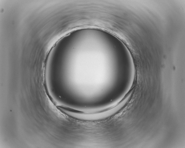 X0000086951524200704161441
