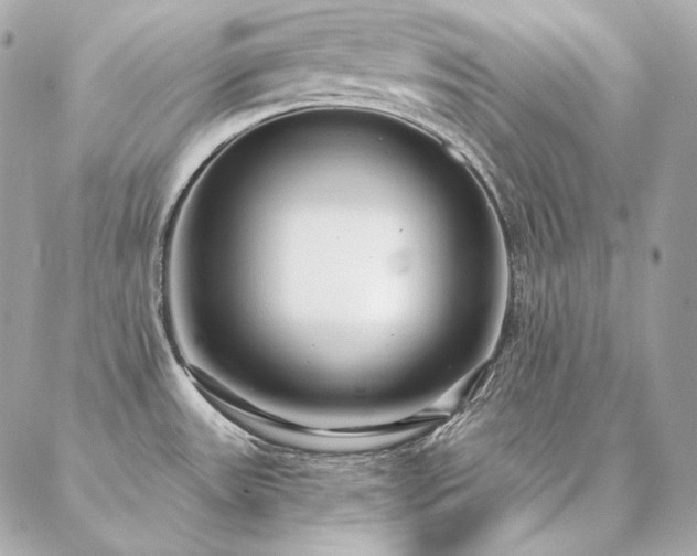 X0000086951531200704161441