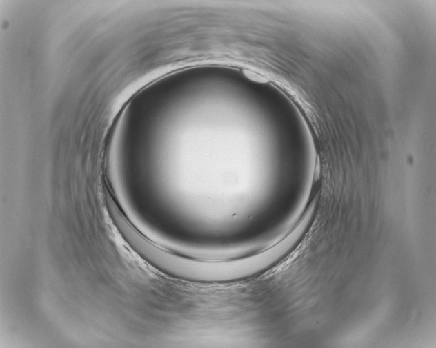 X0000086951534200704161441