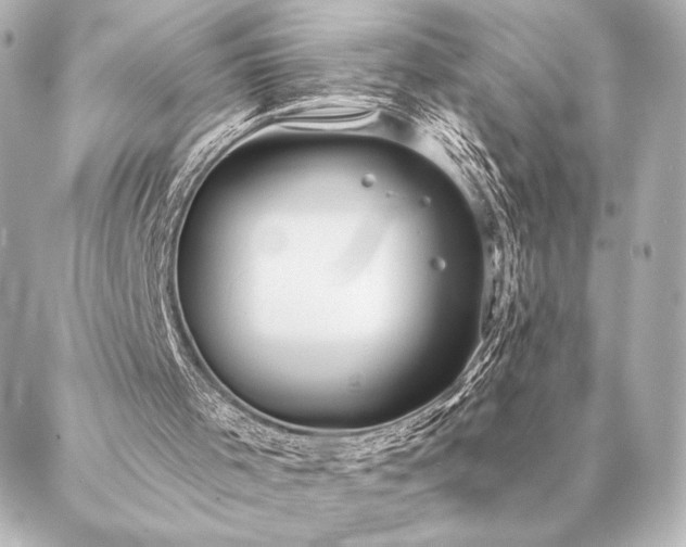 X0000086950001200704231437