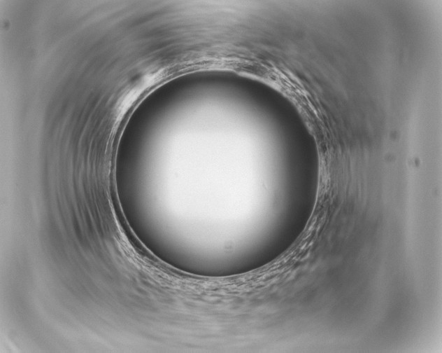 X0000086950003200704231437