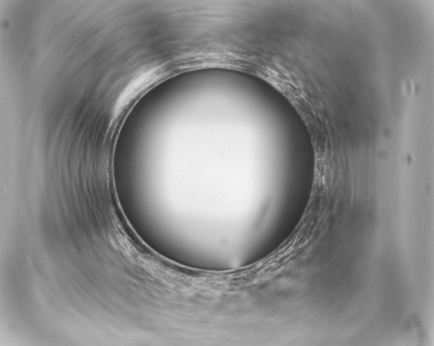 X0000086950004200704231437