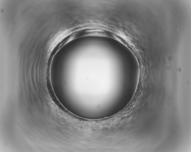 X0000086950007200704231437